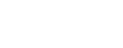 Consort Institute