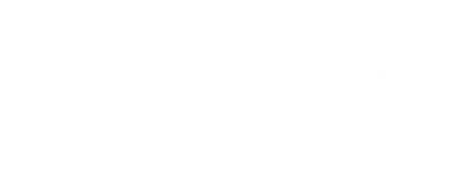 Career Wise